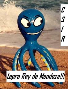 Los calamares!!!